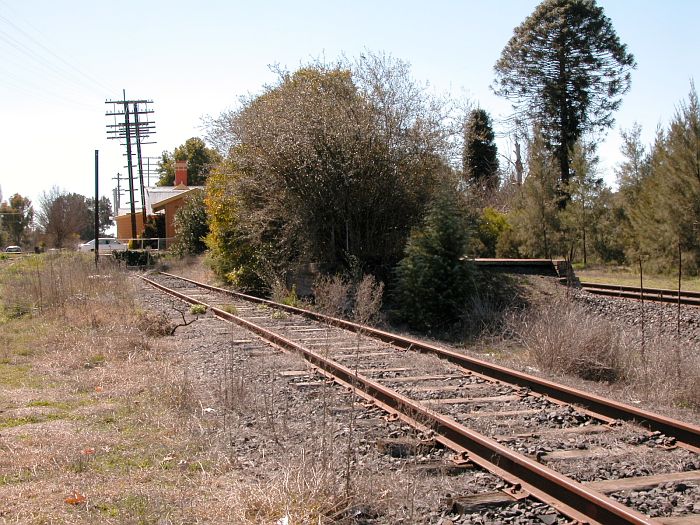 
The overgrown dock platform platform at the up end of the station.
