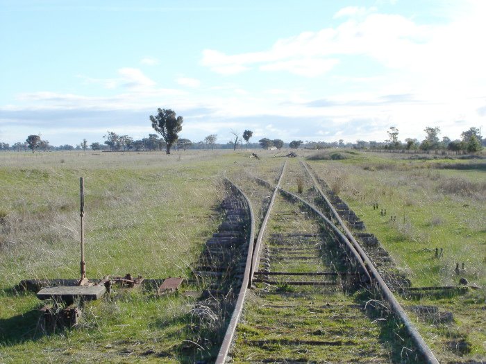 The view looking back up the line from the eastern end of the loop.