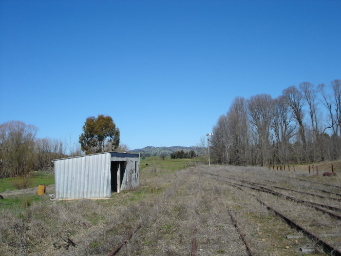 The view looking south along the overgrown yard.