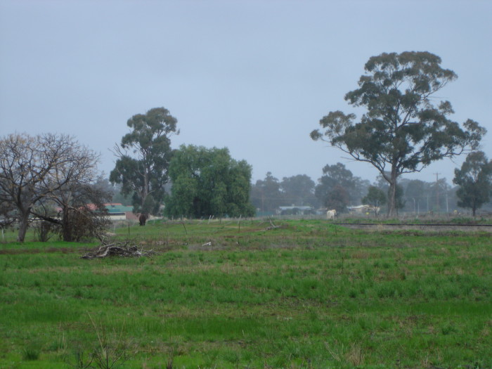 The view from the rear of the possible remains of the platform.