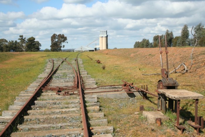 Frame B and the points for the wheat siding at the Rand end of the yard looking back towards Henty.