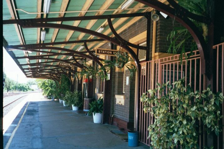 
The covered section of the platform, showing an impressive array of
plants.
