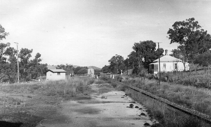 
The view looking over the goods yard and shed from the Tumut end of the
somewhat overgrown platform.
