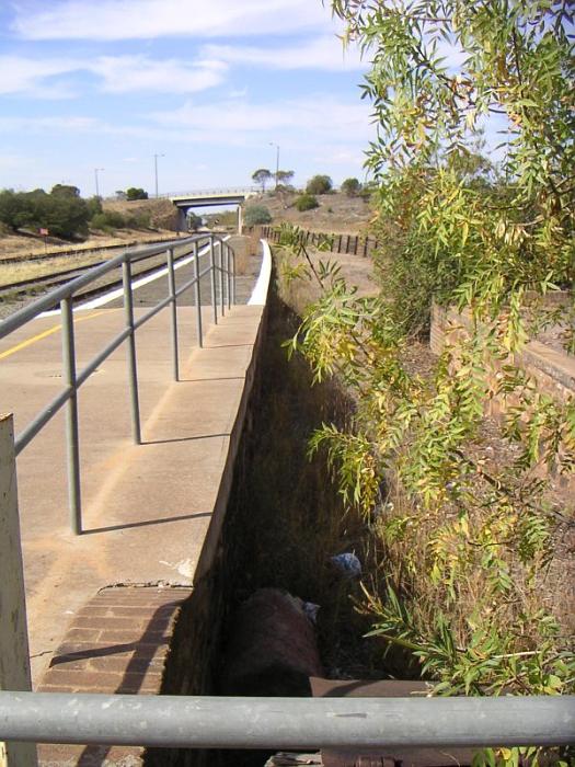 
The overgrown up dock siding at the Sydney end of the station.
