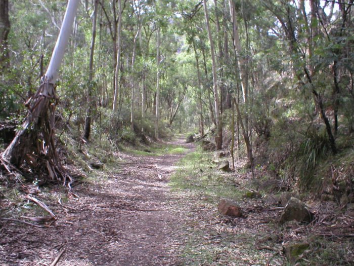 Another view of the formation as it nears Newnes.