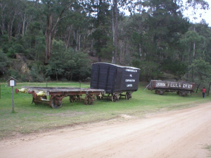 The representative collection of wagons near Newnes kiosk.