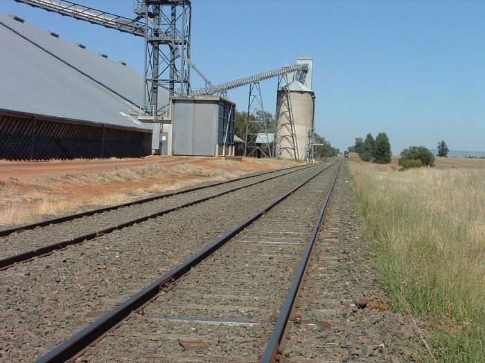 
The view looking north towards Cowra.
