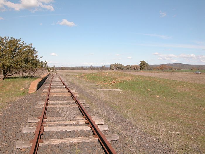 
The view looking back up the line.  The mound in the centre is all that remains
of the goods bank.
