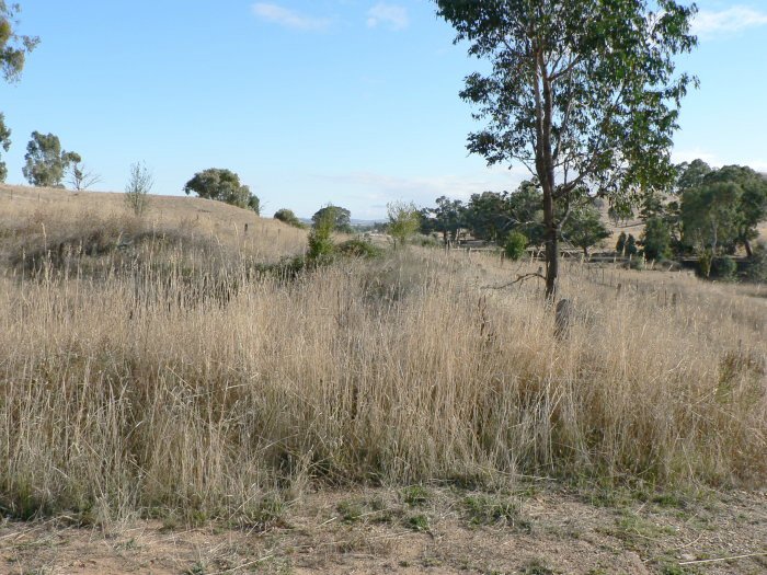 The view looking back up the line towards Wagga.