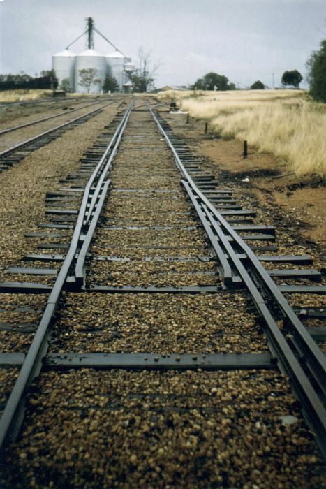 
A section of dual gauge track in the yard where the common rail shifts from
the left to the right (to facilitate the standard gauge junction in the
background).  The view is looking north, and the junction led to the one-time
loco servicing facilities.
