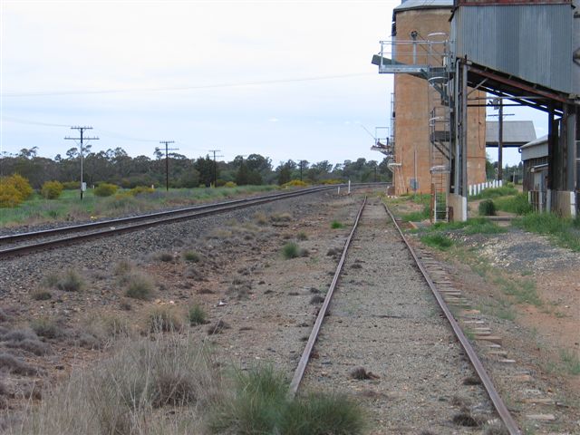 The view looking east towards Parkes.