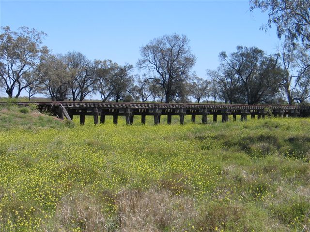 
A small bridge not far from Pokataroo.
