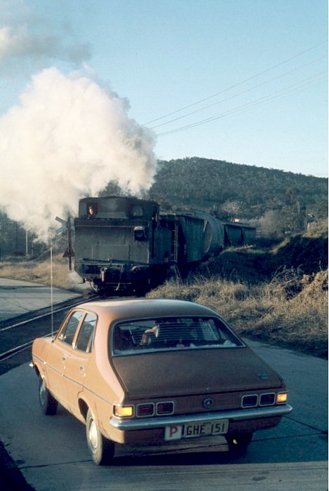 Empty wagons being hauled up the hill to the cement factory.