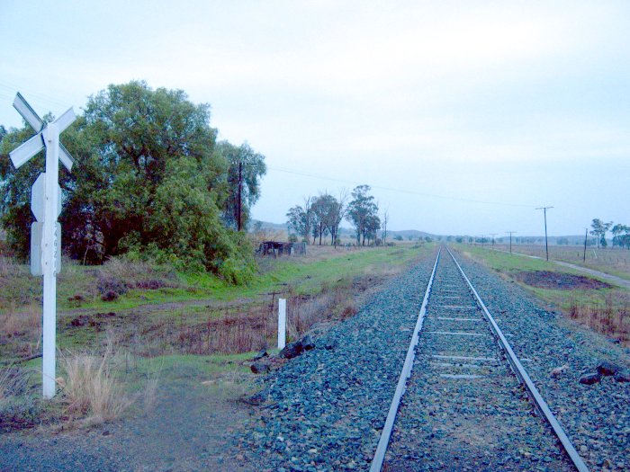 The view looking north through the location.