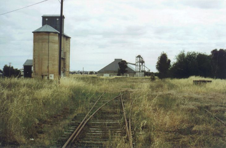 
Trains no longer disturb the silence at Rand any longer.  This is the view
from the end of the line looking back towards the silos.
