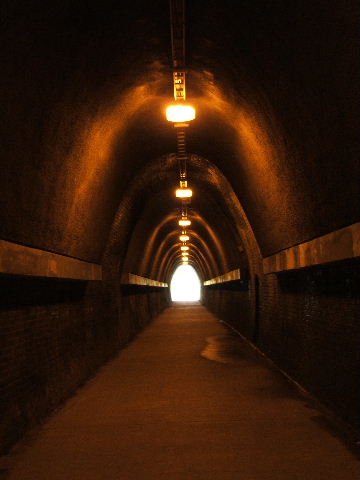 The view looking towards the Adamstown entrance.