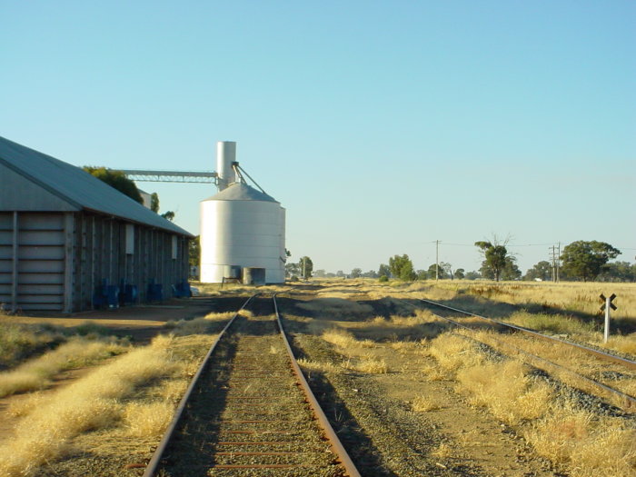 
The view looking north through the yard.
