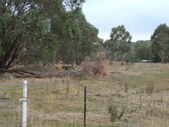 A view of the platform remains.