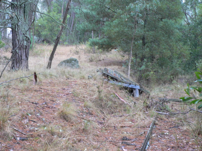 The view looking north at the likely remains of the platform.