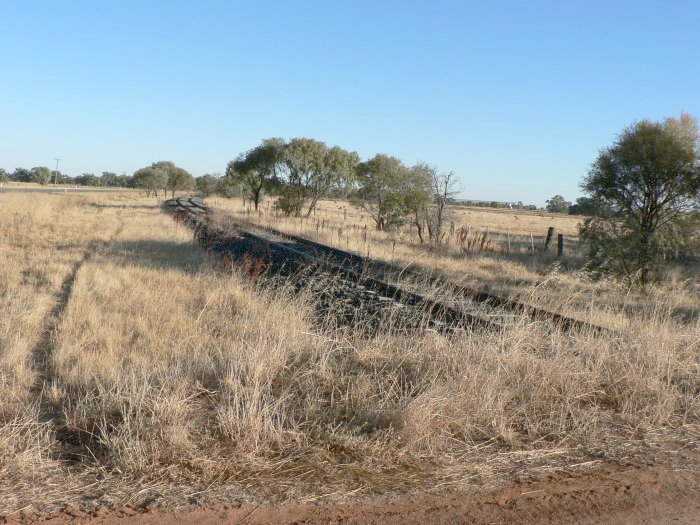 The view looking north towards Narrandera.