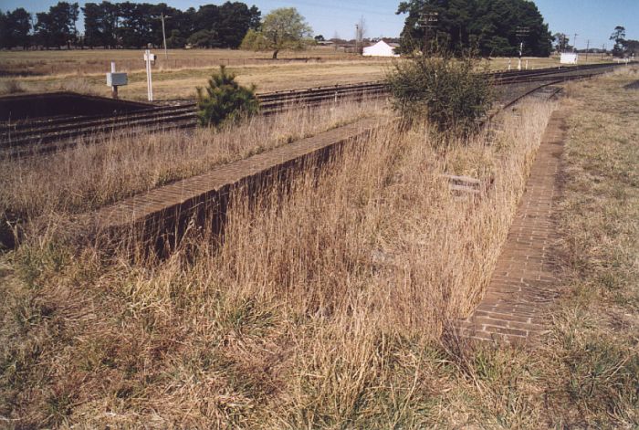 
The up dock platform is still present, although overgrown.
