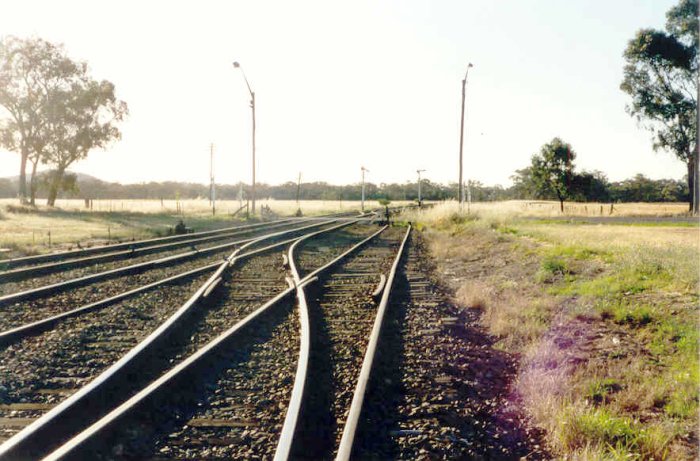 The western end of the yard.  The siding ends and the two main lines diverge.