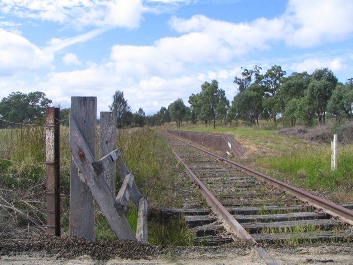 The view looking south to the platform from the adjacent road crossing.