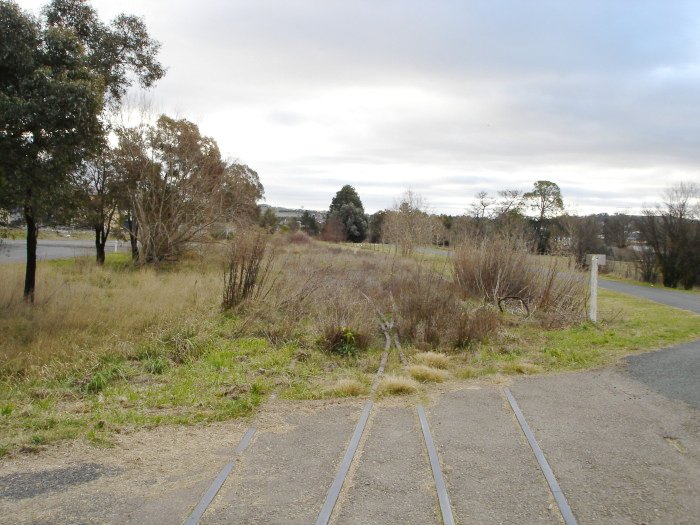 The view looking north of the northern end of the siding.