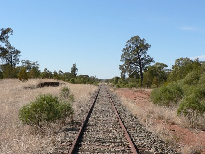 The view looking east. The station was located directly opposite the loading bank.