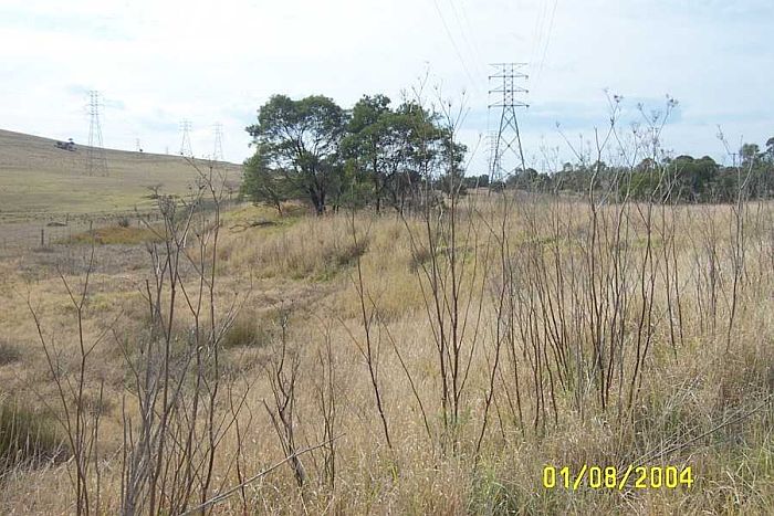 
After the line crosses the road it then bends to the right and follows the
power lines.
