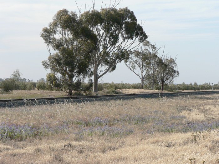 A closer view of the mound that is all that remains of the platform.