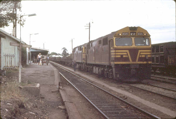 Two 80 class locomotives on a south bound freight waiting for clearance.