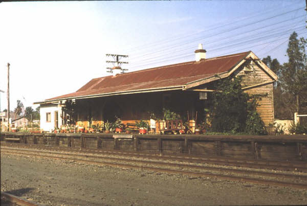 Taken in 1982 shows the how the Station Master was proud of his green thumb and received some local awards for his vegetation displays.