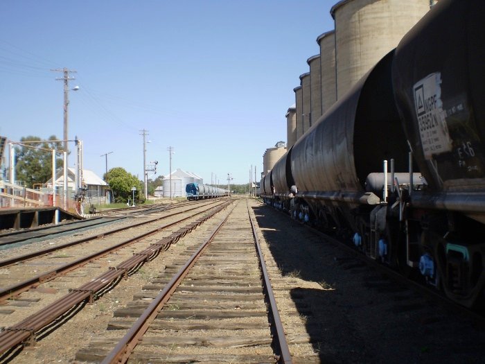 The view looking south through the yard.