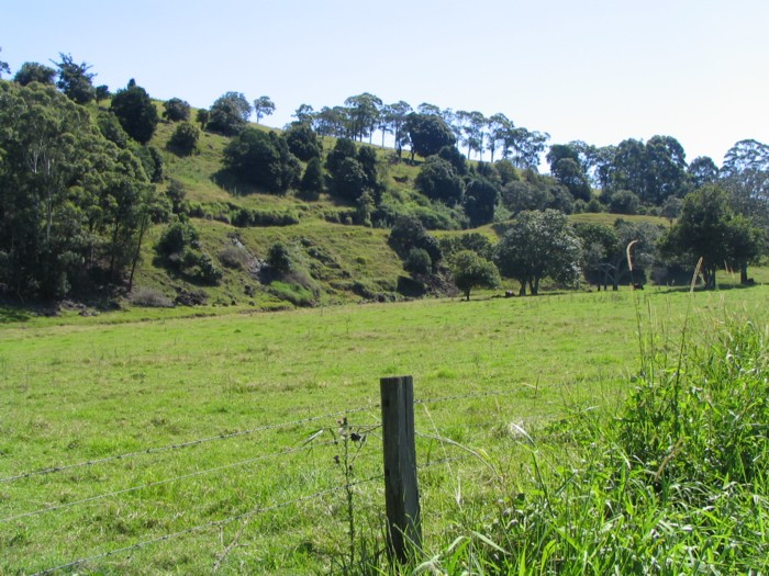 The route north to Booyong ran alongside the road from Teven.