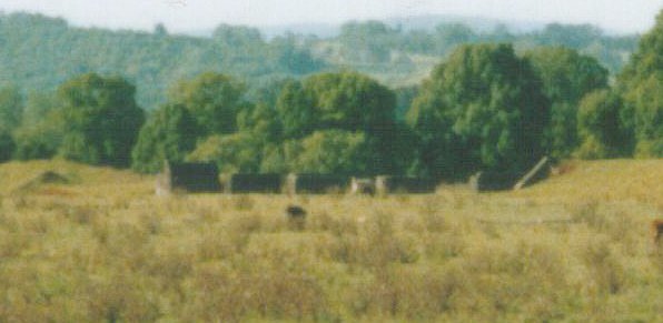 Another view of the pylons along the formationbetween The Halt and Tyumba.