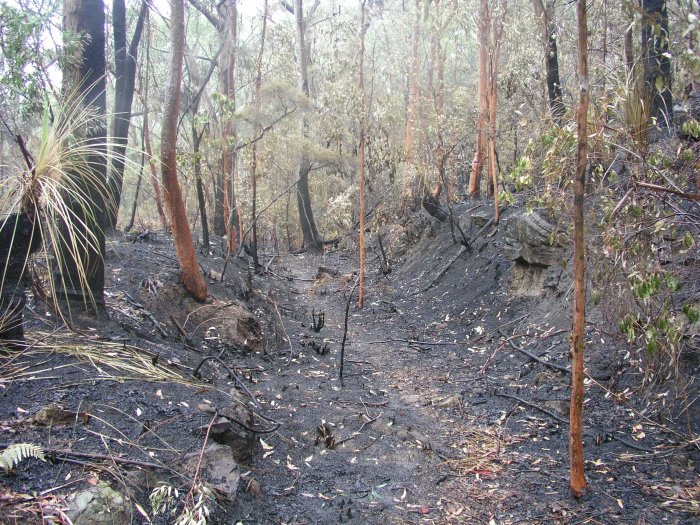 A view of the formation looking towards the quarry.