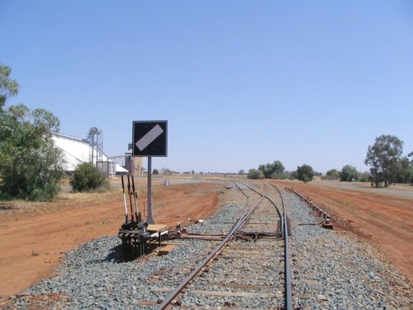 The line heading north west towards Lake Cargelligo.