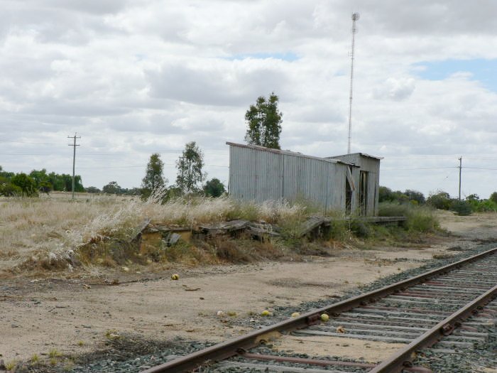 The view looking west at the goods platform and goods shed..