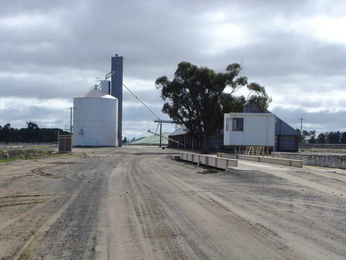 The view looking north of the silos and shed.