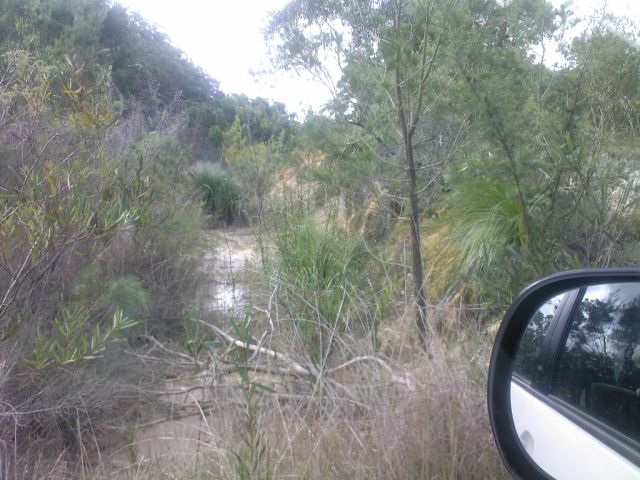 The overgrown remains of the formation.