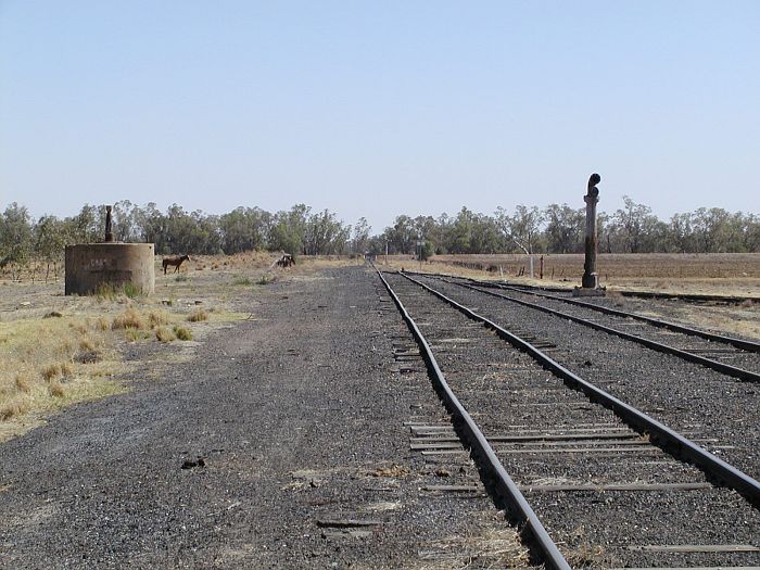 
The view from the platform looking back towards Nevertire.  The line branching
off the the far right is one leg of the turning triangle.  The one-time
goods shed was just beyond the crane.
