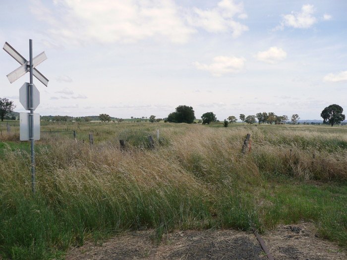 The view from the nearby level crossing towards the station location, next to the bushes in the middle distance.