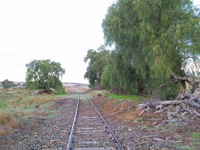 A view of the location looking south.