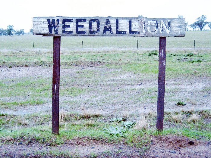 A closer view of the station sign.