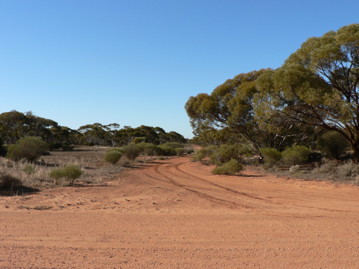 The view looking east.