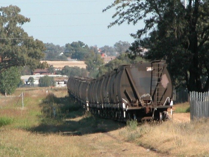 
Disused grain wagons are now stored on the branch line at West Tamworth.
