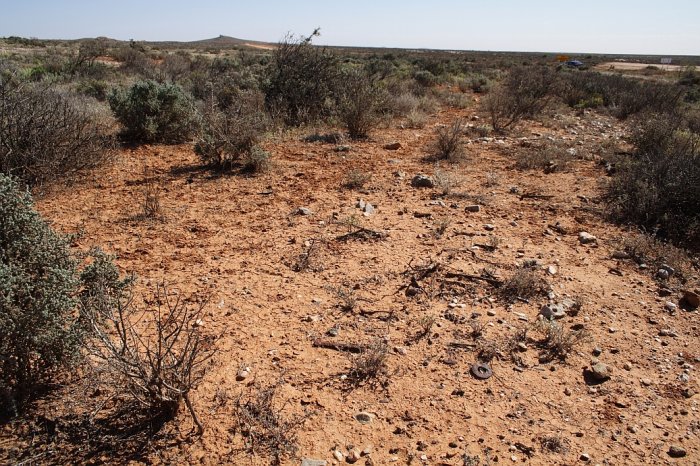 Old dog spikes are still in the track bed. Where the car and roadsigns are in the background is where the line crossed the road and continued on towards Tarrawingee.