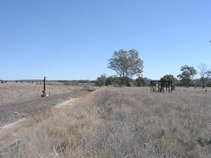 
The view looking west showing the water column and tank at the Binnaway
end of the yard.
