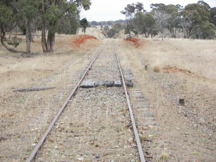 The view looking south from the level crossing.